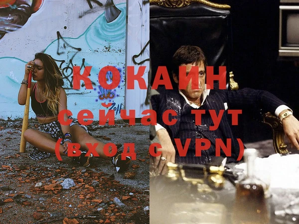 мдпв Осинники