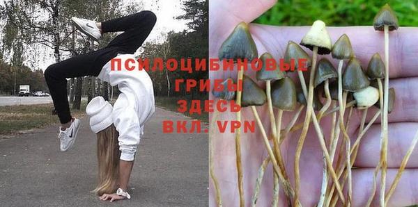 apvp Пестово