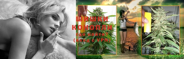 мдпв Осинники