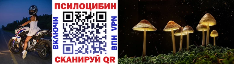 Псилоцибиновые грибы Cubensis  продажа наркотиков  Абдулино 